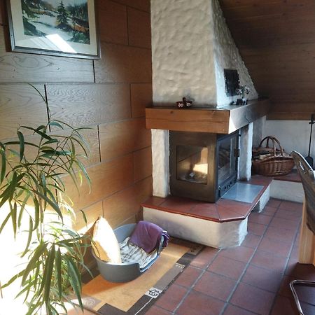 Aussergewoehnliche Atelierferienwohnung Mit Balkon An Der Donau Winzer Bagian luar foto