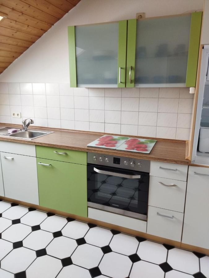Aussergewoehnliche Atelierferienwohnung Mit Balkon An Der Donau Winzer Bagian luar foto