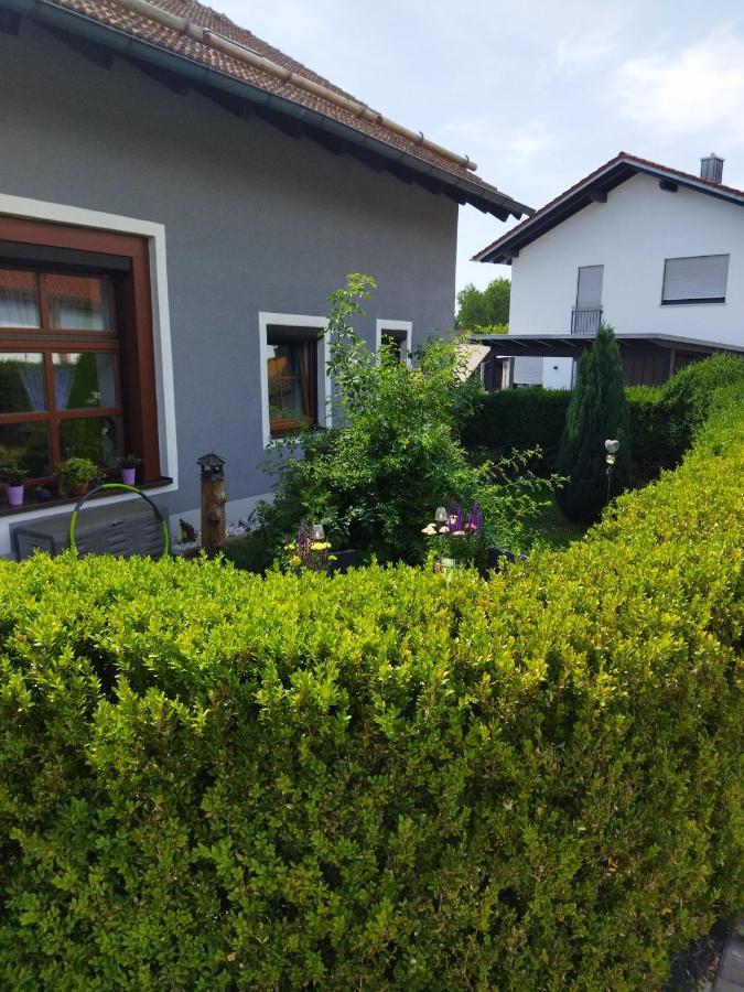 Aussergewoehnliche Atelierferienwohnung Mit Balkon An Der Donau Winzer Bagian luar foto