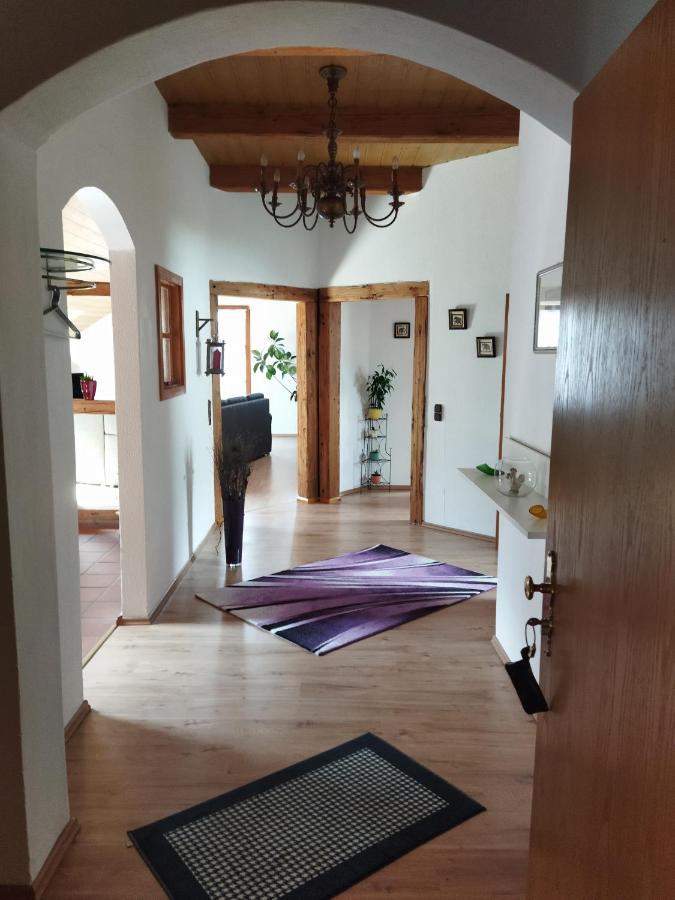 Aussergewoehnliche Atelierferienwohnung Mit Balkon An Der Donau Winzer Bagian luar foto