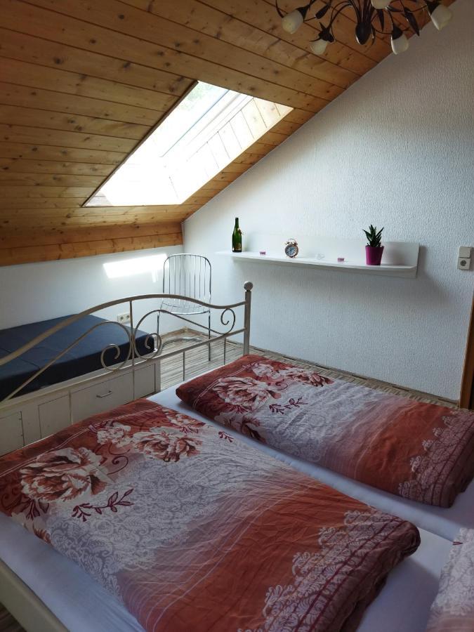 Aussergewoehnliche Atelierferienwohnung Mit Balkon An Der Donau Winzer Bagian luar foto