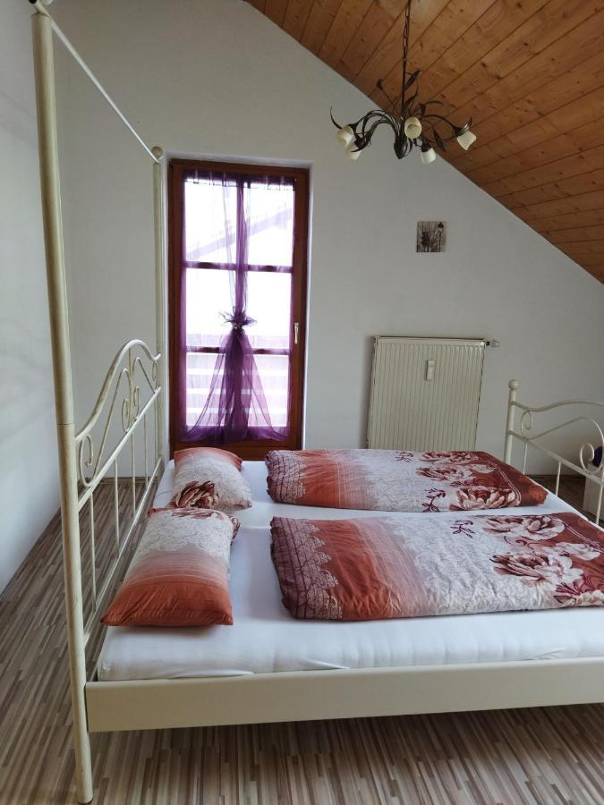 Aussergewoehnliche Atelierferienwohnung Mit Balkon An Der Donau Winzer Bagian luar foto
