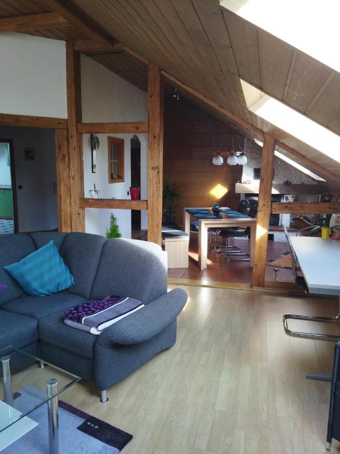 Aussergewoehnliche Atelierferienwohnung Mit Balkon An Der Donau Winzer Bagian luar foto