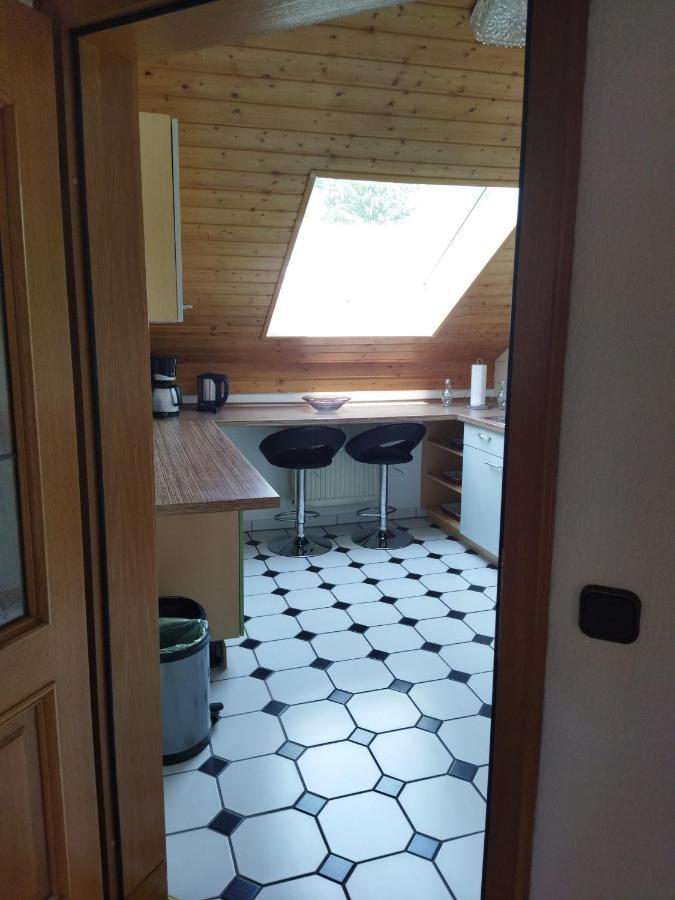 Aussergewoehnliche Atelierferienwohnung Mit Balkon An Der Donau Winzer Bagian luar foto