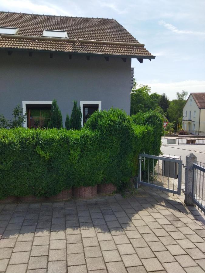 Aussergewoehnliche Atelierferienwohnung Mit Balkon An Der Donau Winzer Bagian luar foto