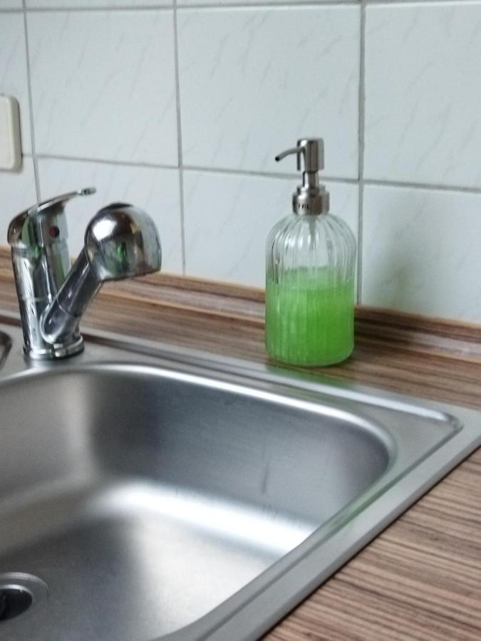 Aussergewoehnliche Atelierferienwohnung Mit Balkon An Der Donau Winzer Bagian luar foto
