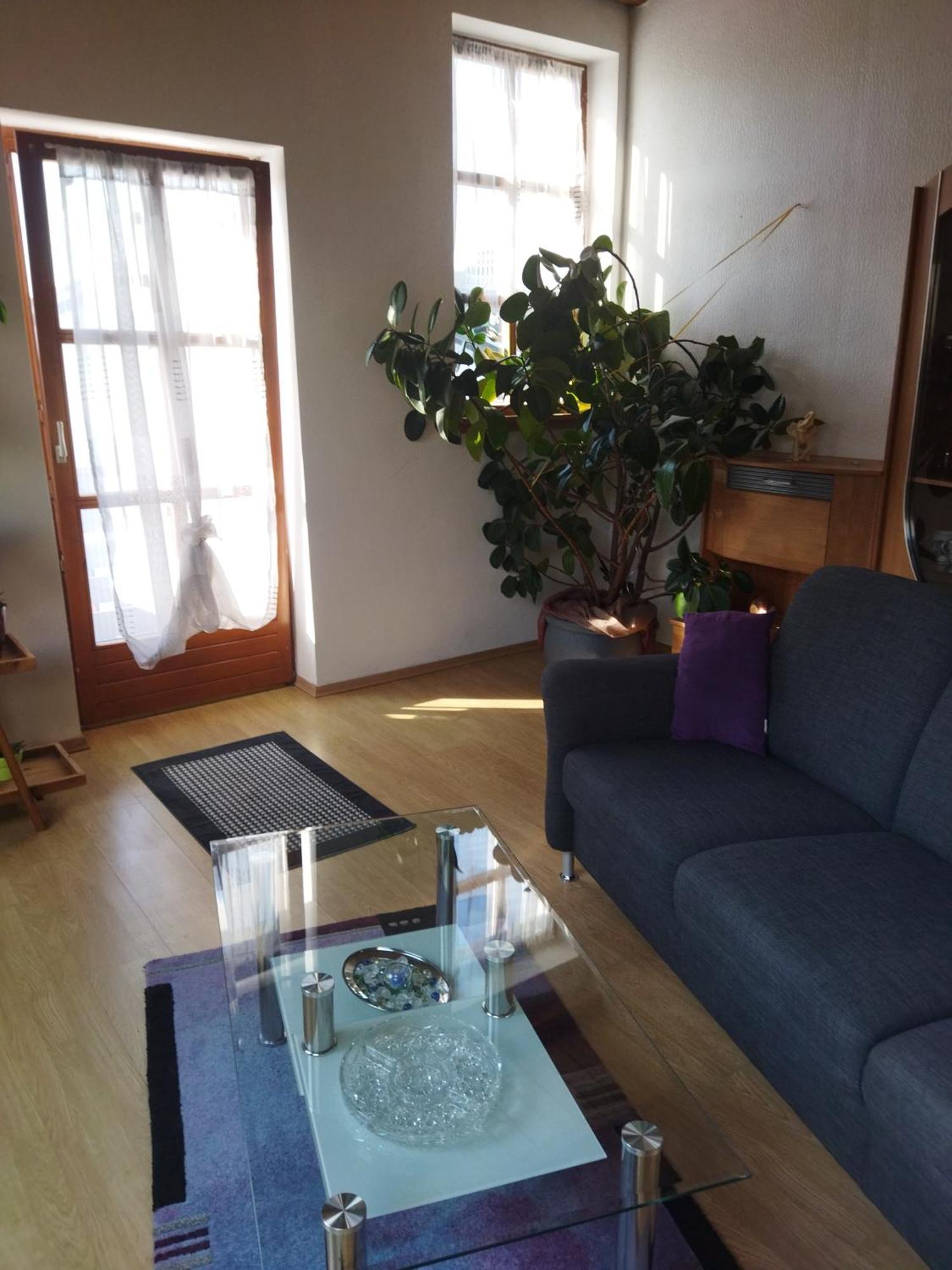 Aussergewoehnliche Atelierferienwohnung Mit Balkon An Der Donau Winzer Bagian luar foto
