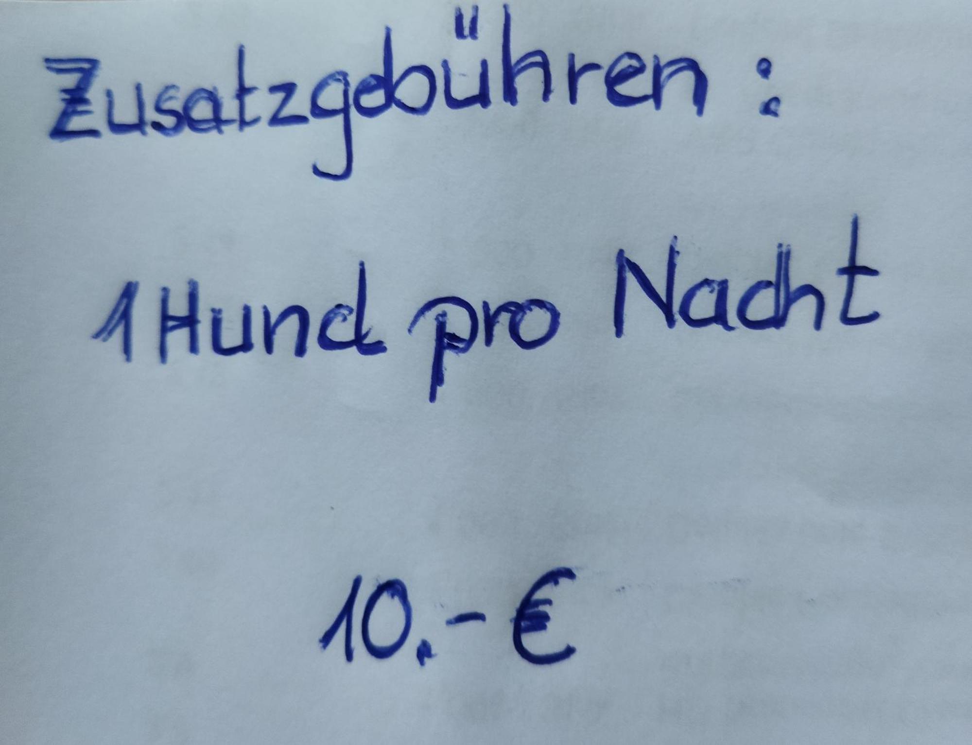 Aussergewoehnliche Atelierferienwohnung Mit Balkon An Der Donau Winzer Bagian luar foto